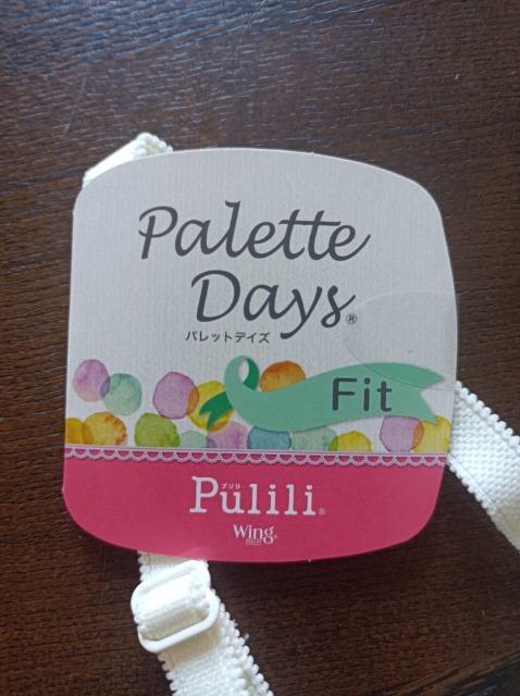 R[Palette Days PuliliFitzȍSCȂWing  t@bV 
