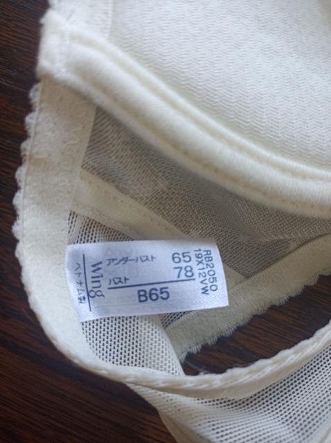 R[Palette Days PuliliFitzȍSCȂWing  t@bV 