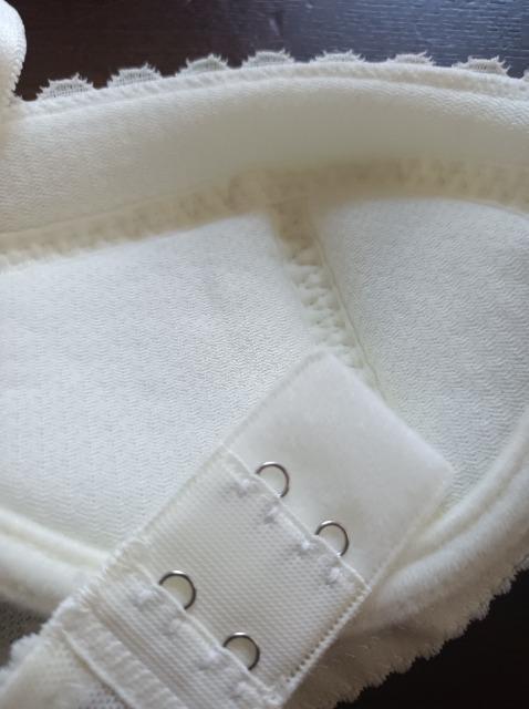 R[Palette Days PuliliFitzȍSCȂWing  t@bV 