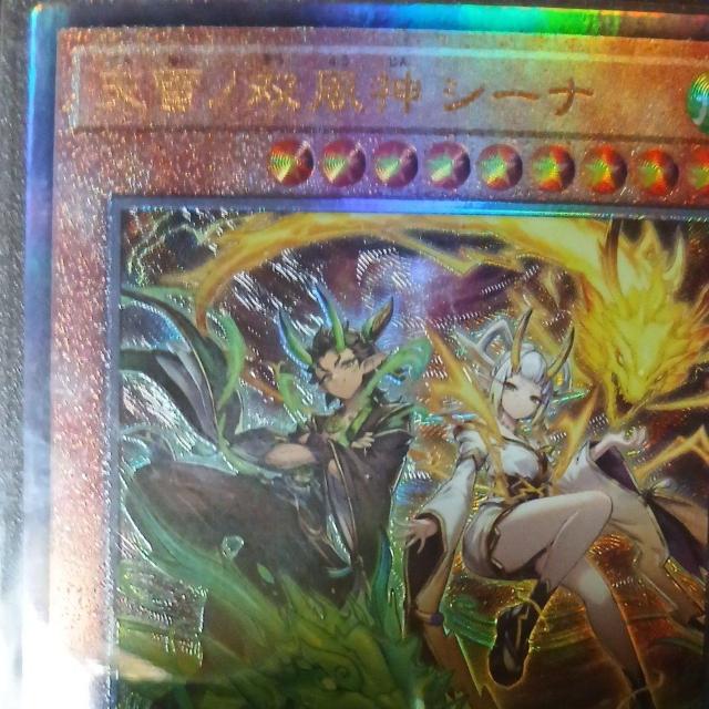 �V�Y���J�[�h�@�f���G�������X�^�[�Y�@�V���m�o���_�V�[�i�@�A���e�B���b�g�@ �� �g���[�f�B���O�J�[�h�� 