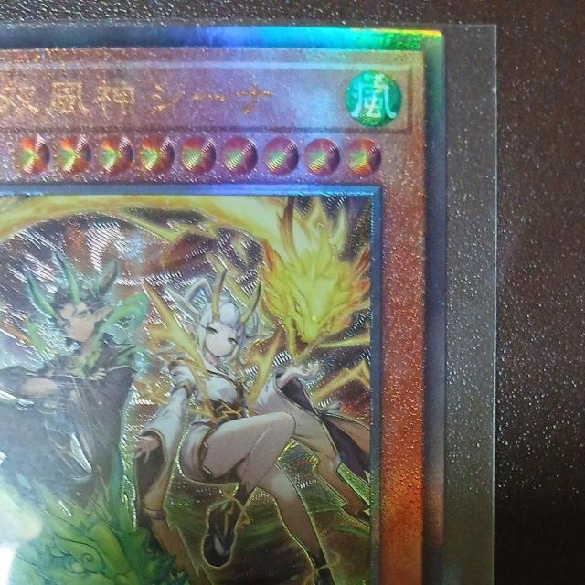 �V�Y���J�[�h�@�f���G�������X�^�[�Y�@�V���m�o���_�V�[�i�@�A���e�B���b�g�@ �� �g���[�f�B���O�J�[�h�� 