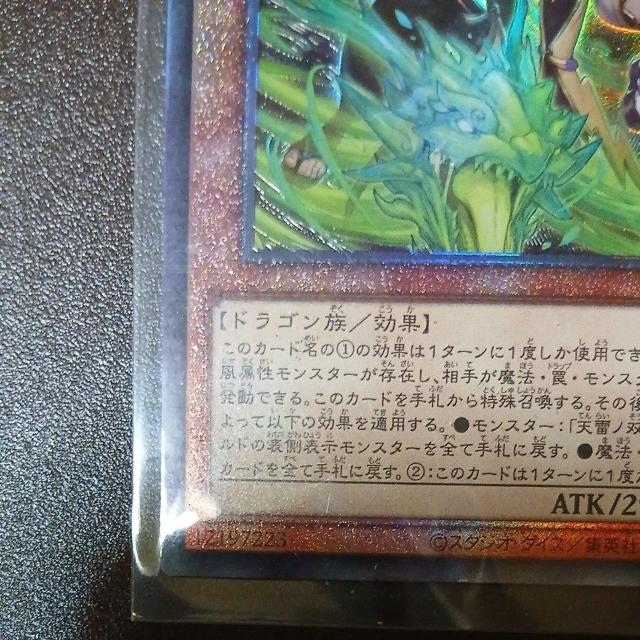 �V�Y���J�[�h�@�f���G�������X�^�[�Y�@�V���m�o���_�V�[�i�@�A���e�B���b�g�@ �� �g���[�f�B���O�J�[�h�� 