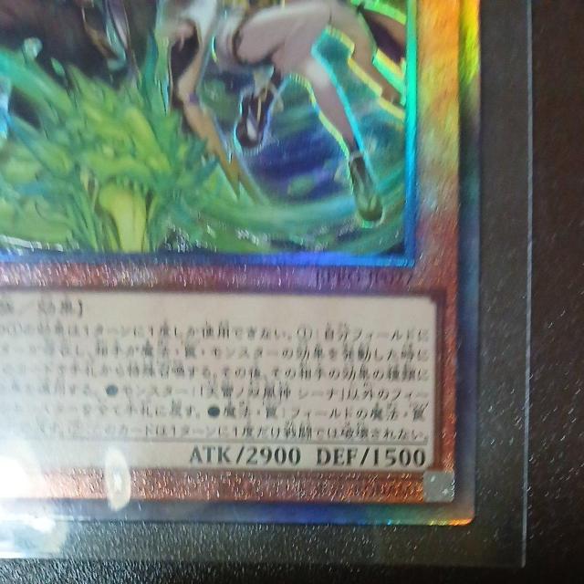 �V�Y���J�[�h�@�f���G�������X�^�[�Y�@�V���m�o���_�V�[�i�@�A���e�B���b�g�@ �� �g���[�f�B���O�J�[�h�� 