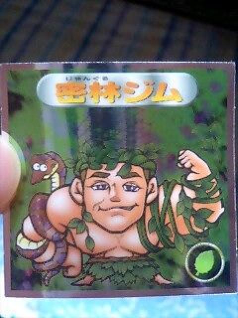 密林ジム < ホビー  密林ジム  < ホビーの