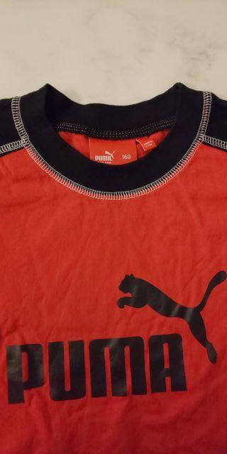 プーマ☆Tシャツ☆160 < ブランド  プーマ☆Tシャツ☆160 < ブランドの