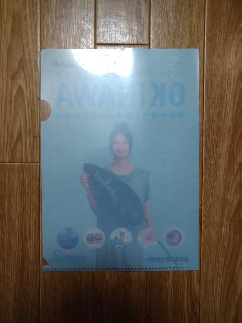 柴咲コウ ANAスカイホリデー 非売品 クリアホルダー < ホビー  柴咲コウ ANAスカイホリデー 非売品 クリアホルダー < ホビーの