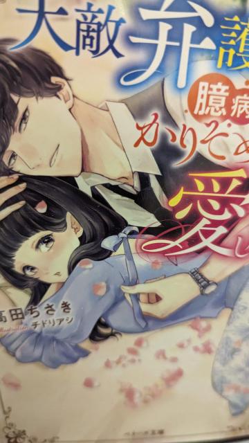 天敵弁護士は臆病なかりそめ妻を愛し尽くす★高田ちさき★ベリーズ文庫 < 本/雑誌 天敵弁護士は臆病なかりそめ妻を愛し尽くす★高田ちさき★ベリーズ文庫 < 本/雑誌の