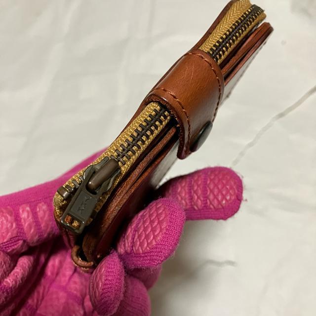 yASKAL / AXJz {v / RpNgEHbg / ܂ RCP[X  jt@bV 