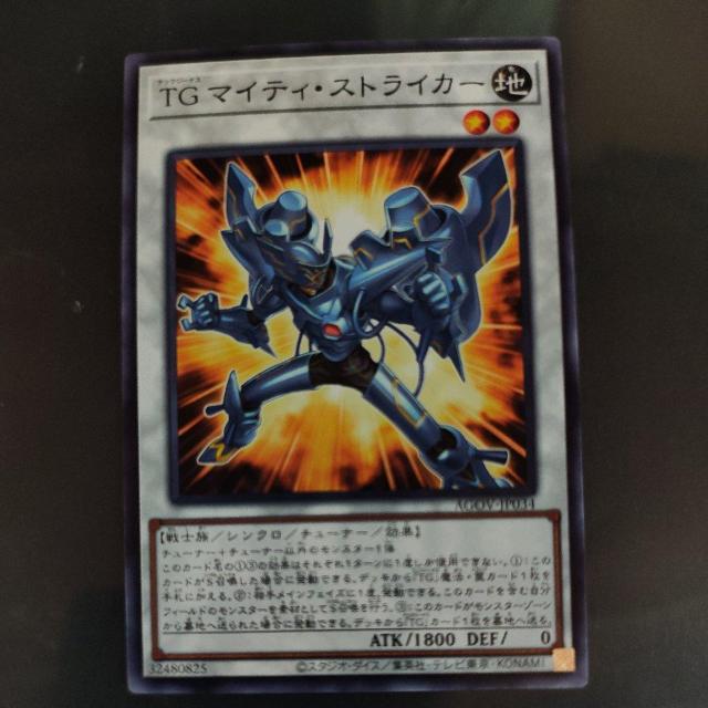 }CeB XgCJ[   g[fBOJ[h 