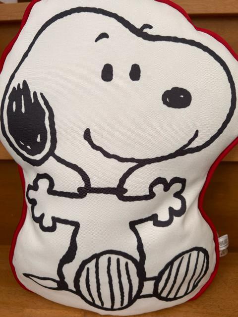 �X�N�[�s�[ �N�b�V����  �� �C���e���A/���C�t�� 