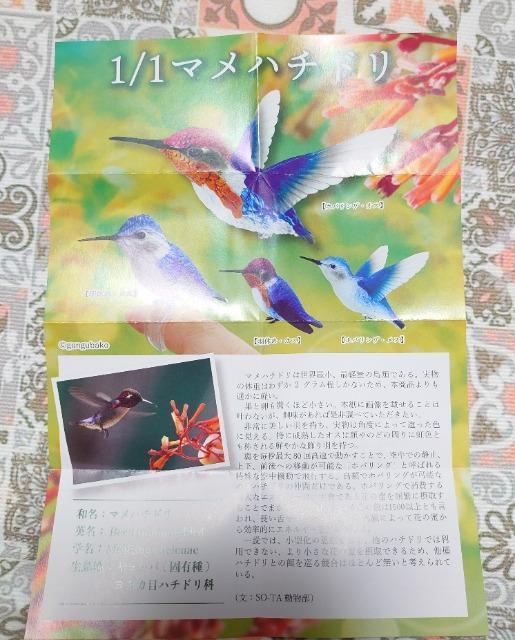 【定形外送料無料】ガチャガチャ○『1/1マメハチドリ』羽休め・オスメスセット < ホビー 【定形外送料無料】ガチャガチャ○『1/1マメハチドリ』羽休め・オスメスセット < ホビーの