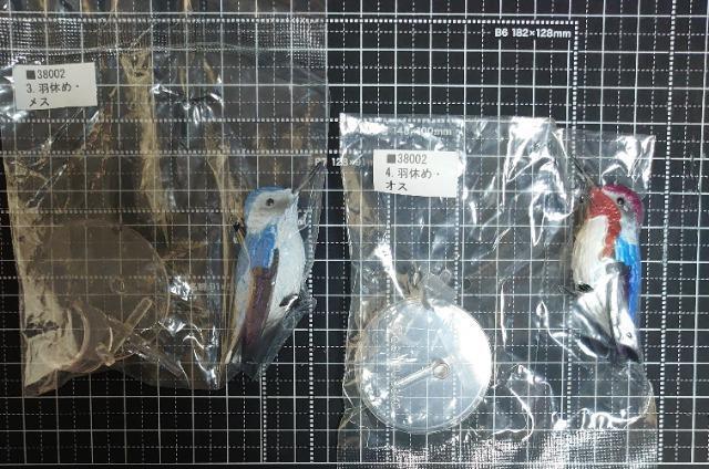 【定形外送料無料】ガチャガチャ○『1/1マメハチドリ』羽休め・オスメスセット < ホビー 【定形外送料無料】ガチャガチャ○『1/1マメハチドリ』羽休め・オスメスセット < ホビーの