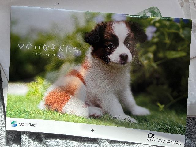 カレンダー < ホビー カレンダー < ホビーの