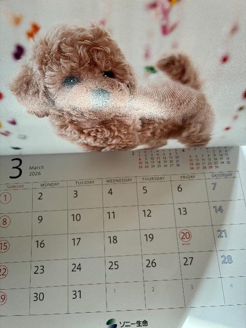 カレンダー < ホビー カレンダー < ホビーの