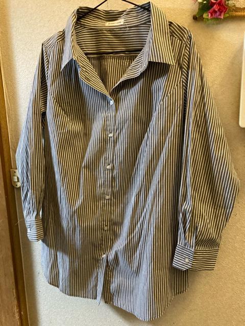 3L未使用黒白ストライプ細見えチュニックシャツ < 女性ファッション 3L未使用黒白ストライプ細見えチュニックシャツ < 女性ファッションの