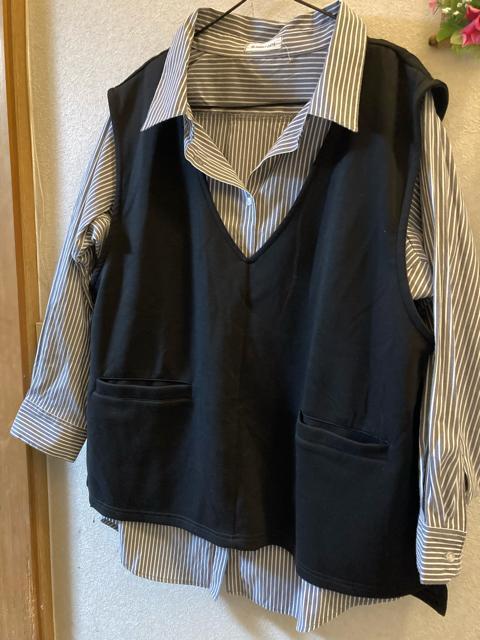 3L未使用黒白ストライプ細見えチュニックシャツ < 女性ファッション 3L未使用黒白ストライプ細見えチュニックシャツ < 女性ファッションの