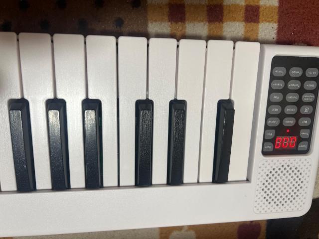 2܂聚 88 dqsAm FEY128 ^  J[L  zr[ 