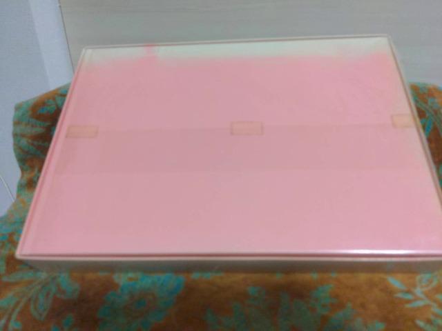 PINK HOUSE/sNnEX/MK`FbN/N}//EHbV^I2Zbg/Hi/A/  uh 