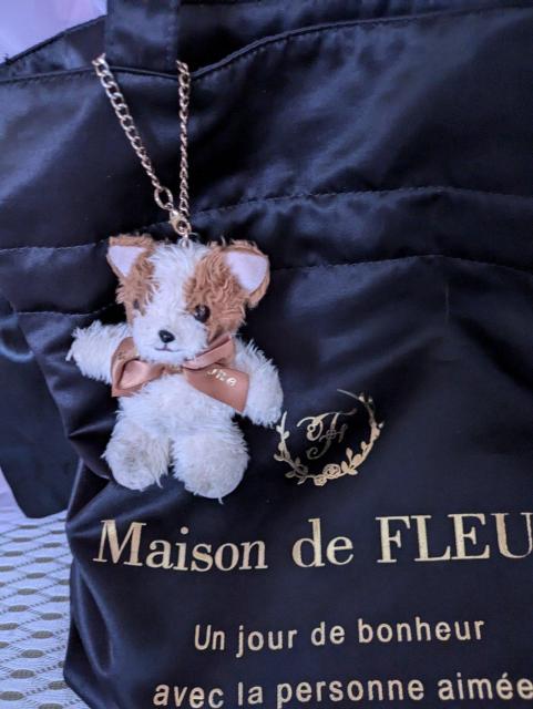 ���]���h�t���[�� �g�[�g�o�b�N �� �����t�@�b�V������ 