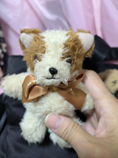 ���]���h�t���[�� �g�[�g�o�b�N �� �����t�@�b�V������ 