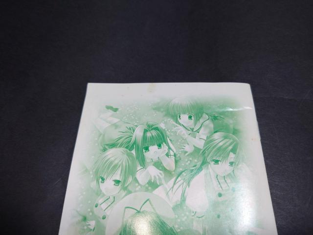 PS2 W ~ウィッシュ~ / ダブルウィッシュ アンケートハガキ・チラシ付き < ゲーム本体/ソフト PS2 W ~ウィッシュ~ / ダブルウィッシュ アンケートハガキ・チラシ付き < ゲーム本体/ソフトの