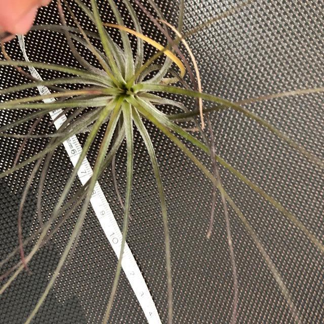 GAvc XgN^ GA[vc ϗtA A  ybg/|/| 