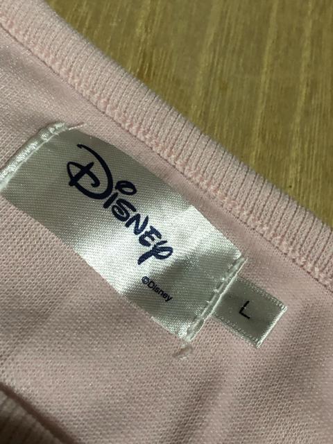 �s�V�i�t���܂̃v�[���� �f�B�Y�j�[�@���[���E�F�A ��̂�