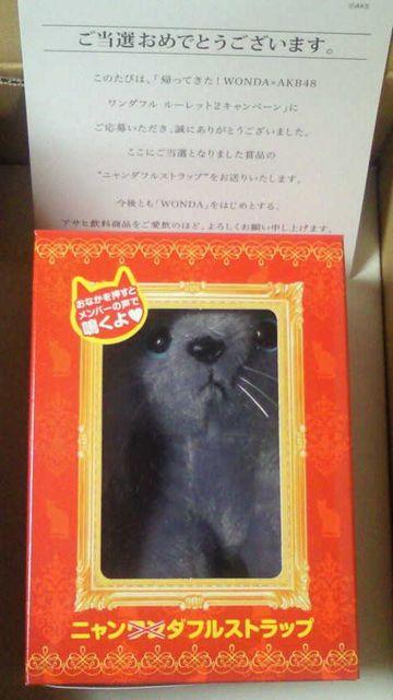 当選品☆WONDA×AKB48 ワンダフルルーレット2☆柏木由紀 ニャンダフルストラップ < タレントグッズ 当選品☆WONDA×AKB48 ワンダフルルーレット2☆柏木由紀 ニャンダフルストラップ < タレントグッズの