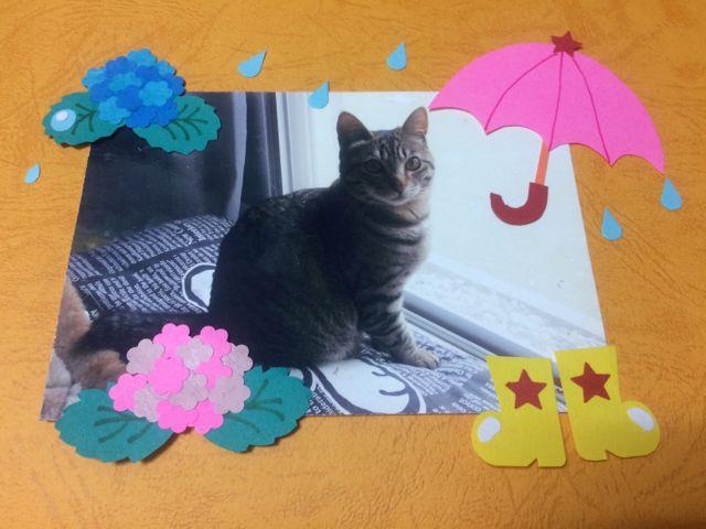 ݂ӂ遙NtgJ̓  LbY/xr[ 