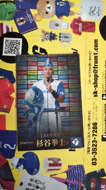 2023 v싅`bvX J   g[fBOJ[h 