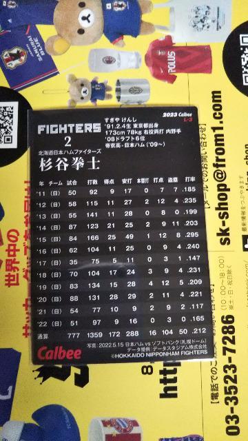 2023 v싅`bvX J  g[fBOJ[h 