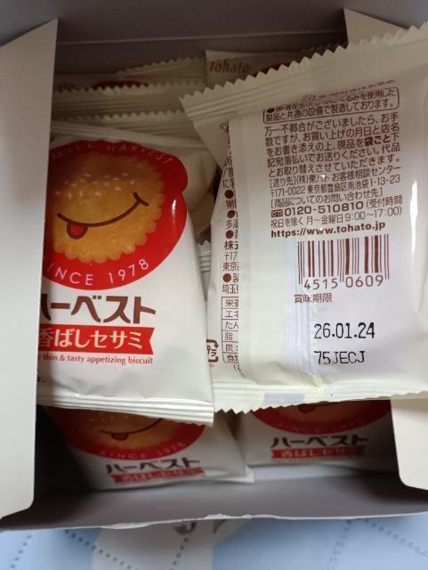 ngAn[xXgA΂ZT~  O/hN 