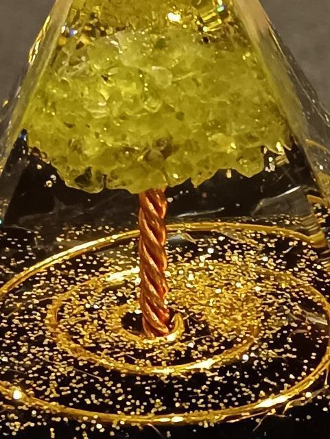 �V�N�u�����܁v���@��_����B�S����3�_  �� �����A�N�Z�T���[/���v�� 