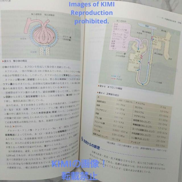 栄養学 第11版 人体の構造と機能 3中村 丁次 系統看護学講座 専門基礎分野 < 本/雑誌  栄養学 第11版 人体の構造と機能 3中村 丁次 系統看護学講座 専門基礎分野 < 本/雑誌の