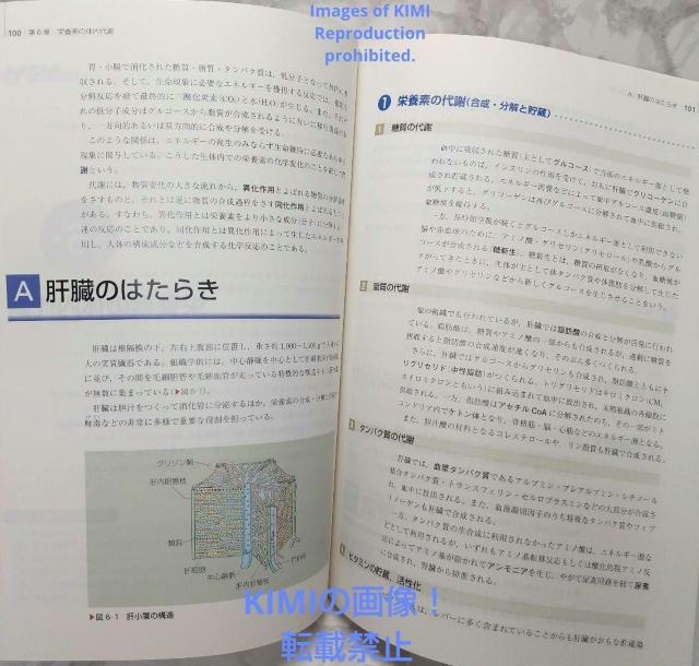 栄養学 第11版 人体の構造と機能 3中村 丁次 系統看護学講座 専門基礎分野 < 本/雑誌  栄養学 第11版 人体の構造と機能 3中村 丁次 系統看護学講座 専門基礎分野 < 本/雑誌の