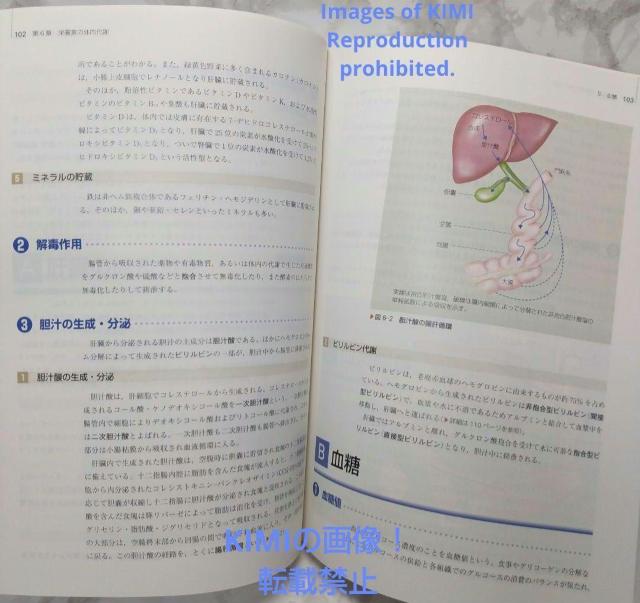 栄養学 第11版 人体の構造と機能 3中村 丁次 系統看護学講座 専門基礎分野 < 本/雑誌  栄養学 第11版 人体の構造と機能 3中村 丁次 系統看護学講座 専門基礎分野 < 本/雑誌の