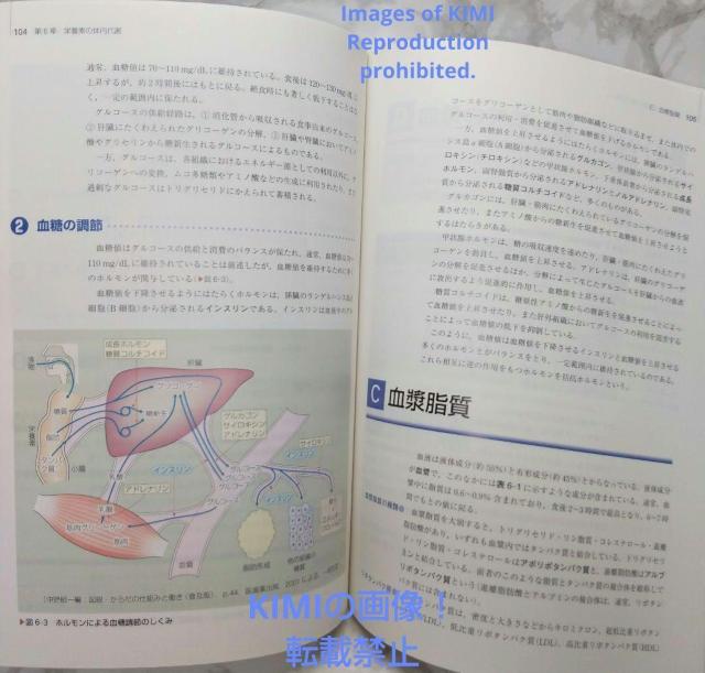 栄養学 第11版 人体の構造と機能 3中村 丁次 系統看護学講座 専門基礎分野 < 本/雑誌  栄養学 第11版 人体の構造と機能 3中村 丁次 系統看護学講座 専門基礎分野 < 本/雑誌の