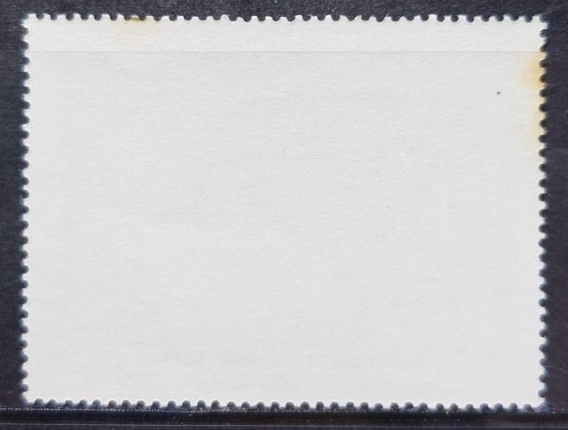 CO؎ gp؎ 1982N fBYj[ NX}X ^[NXEJCRX fBYj[f y~bL[̃NX}XLz  zr[ 