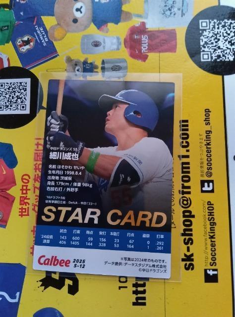 プロ野球チップスカード < トレーディングカード  プロ野球チップスカード < トレーディングカードの