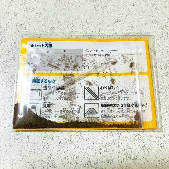 V[L[琬Lbg ċx Rybg  ybg/|/| 