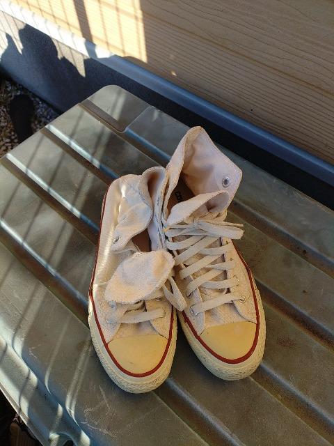 CONVERSE  ALLSTAR  nCJbgXj[J[  QTcm     uh 