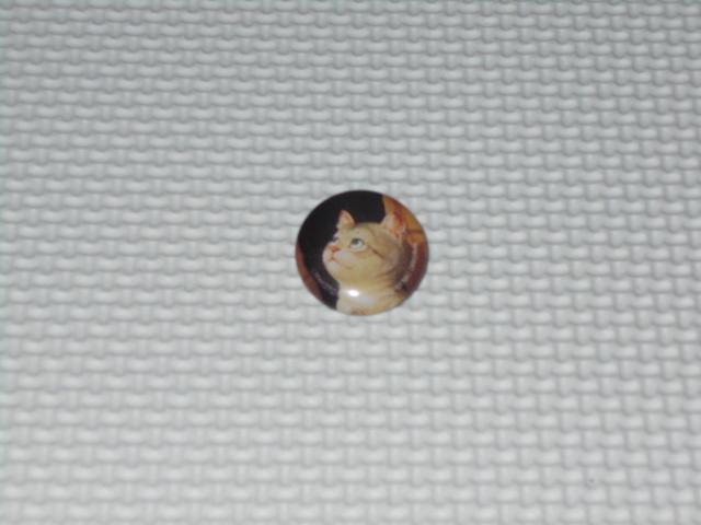 缶バッジ ビッグコミックオリジナル 村松誠 猫 2.5cm < アニメ/コミック/キャラクター  缶バッジ ビッグコミックオリジナル 村松誠 猫 2.5cm  < アニメ/コミック/キャラクターの