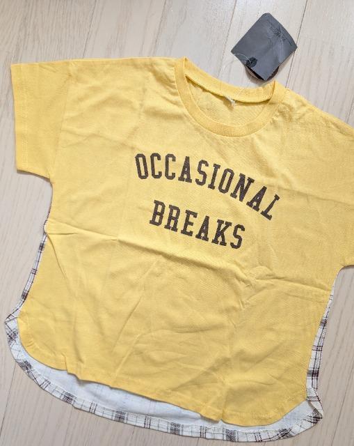 PSOPATAGON`FbNsVcVi  LbY/xr[ 