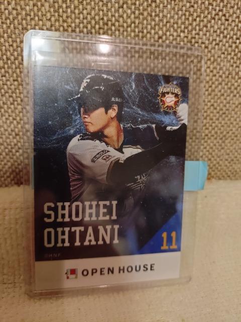 gp@MdIn@Jĕ@I[vnEX@J[h@VANo.   W[/X|[c 