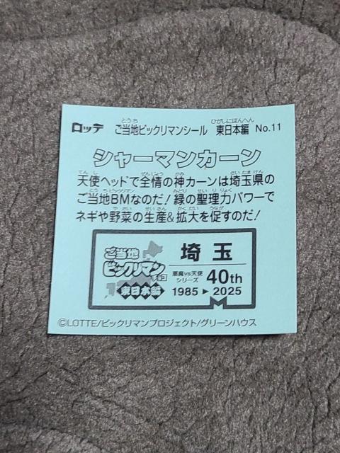 nrbN}@{ҁ@V[}J[  zr[ 