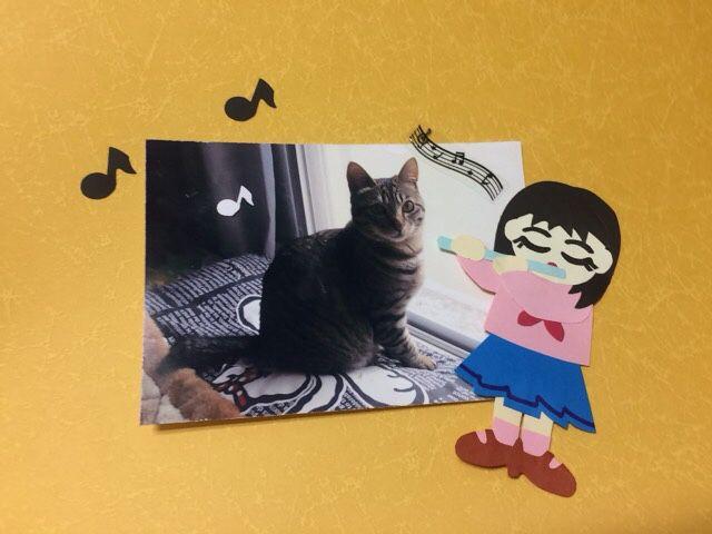 ݂ӂ遙Ntgoi̎qt[gZbgvX̏oił  LbY/xr[ 