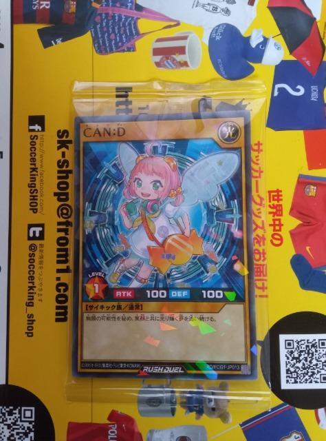 VYbVfGJ[h   g[fBOJ[h 