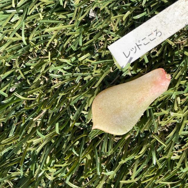 bh  A t} ̂ ꖇ   ybg/|/| 