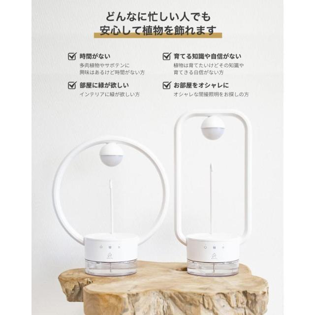 GyCIX(Epeios) A琬Cg LED Ae[uv TANIQUE ی^ EPGL002