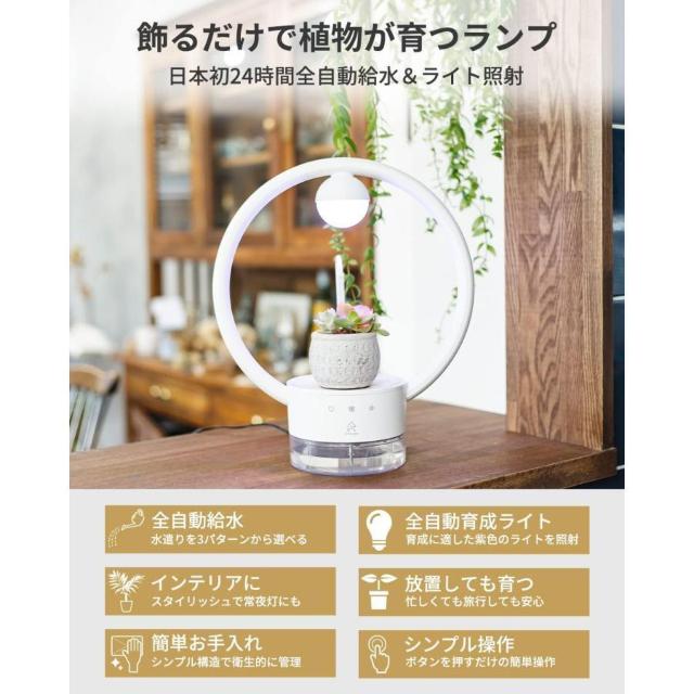 GyCIX(Epeios) A琬Cg LED Ae[uv TANIQUE ی^ EPGL002